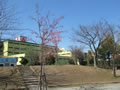 さくら公園